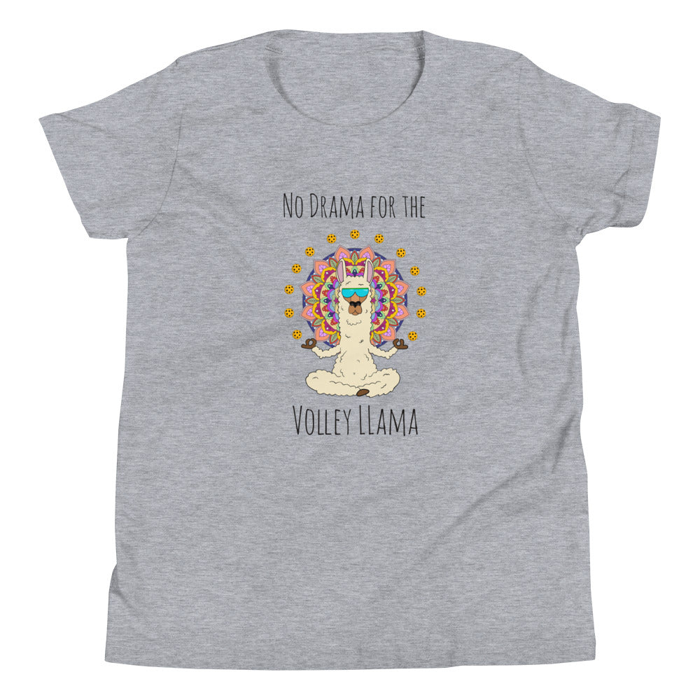 Volley LLama Youth T-Shirt