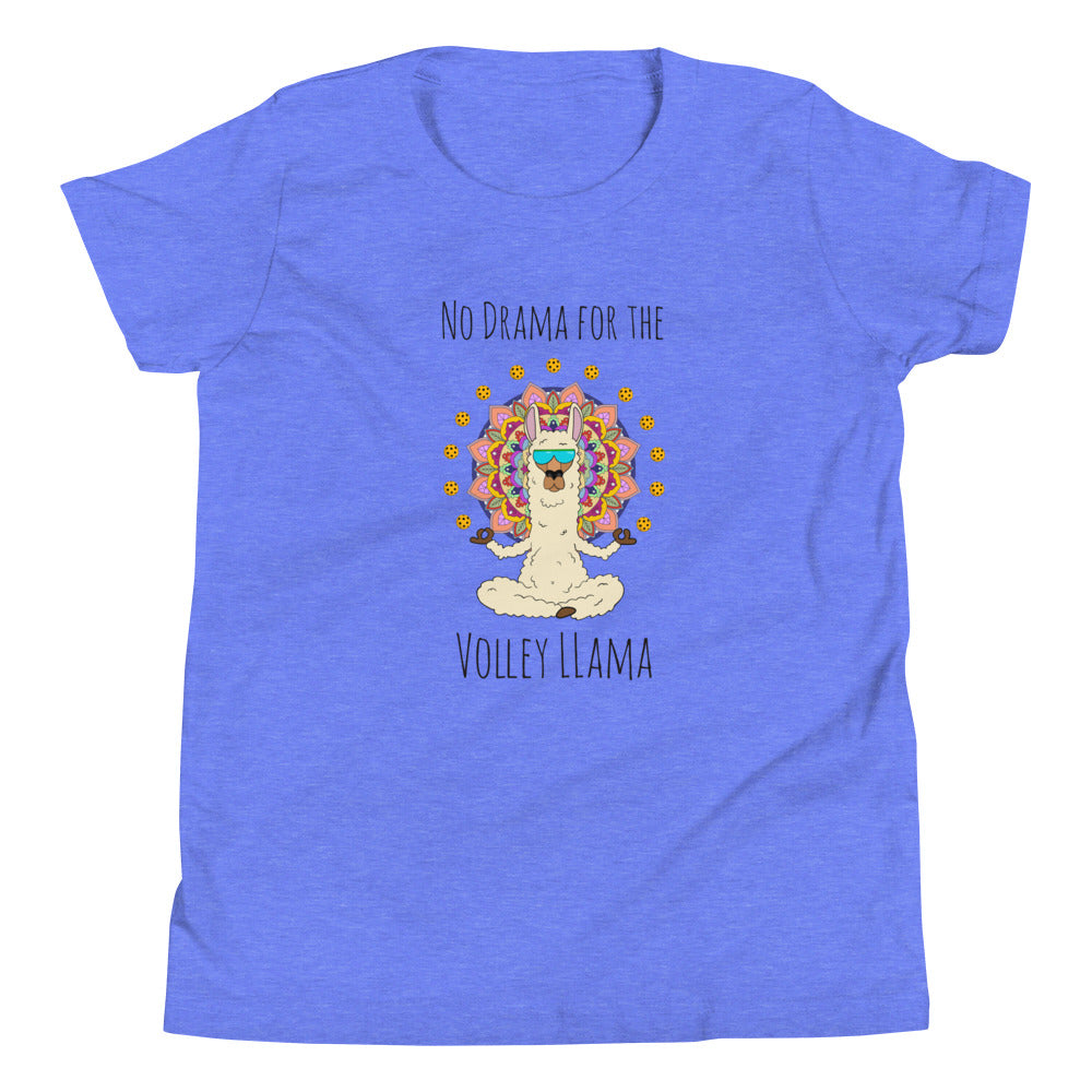 Volley LLama Youth T-Shirt
