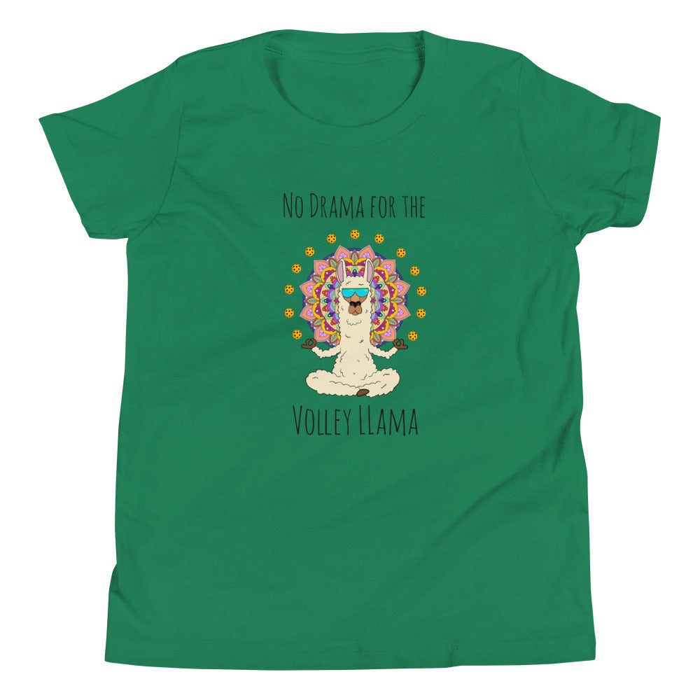 Volley LLama Youth T-Shirt