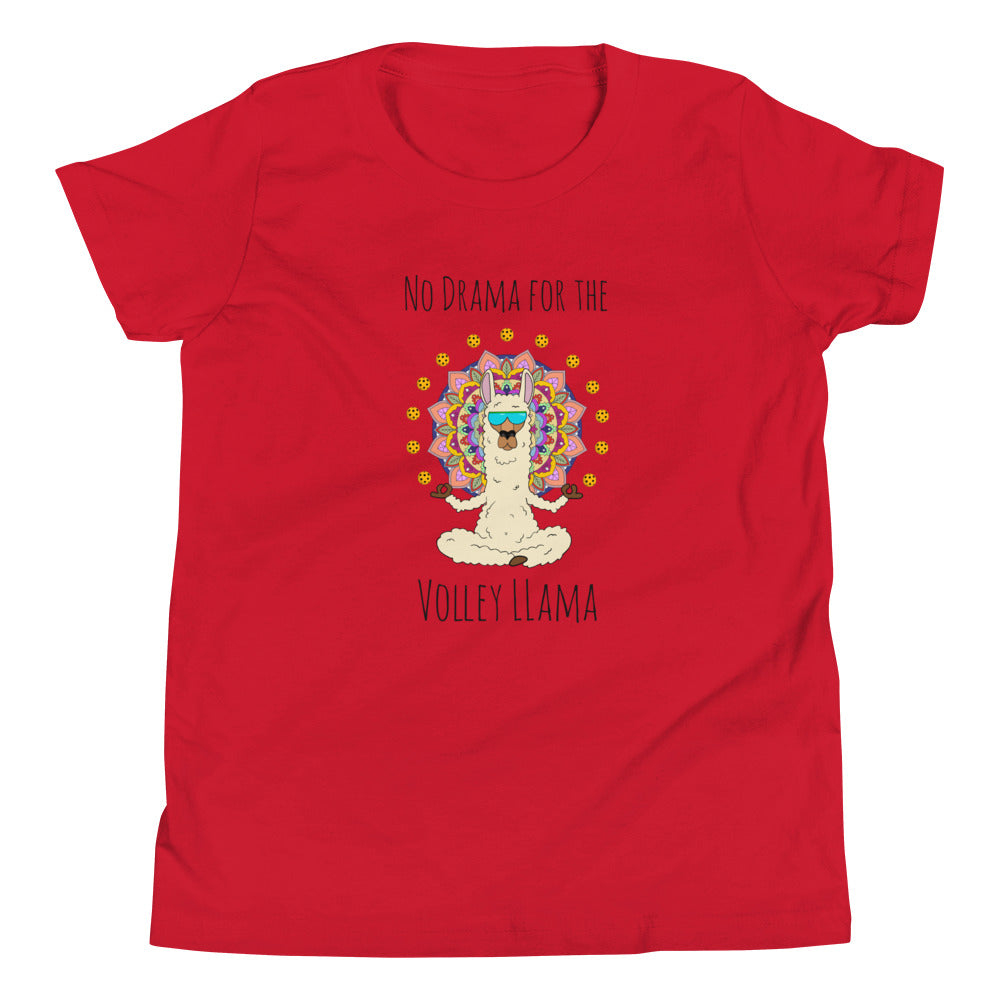 Volley LLama Youth T-Shirt