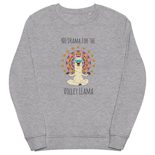 Volley LLama sweatshirt