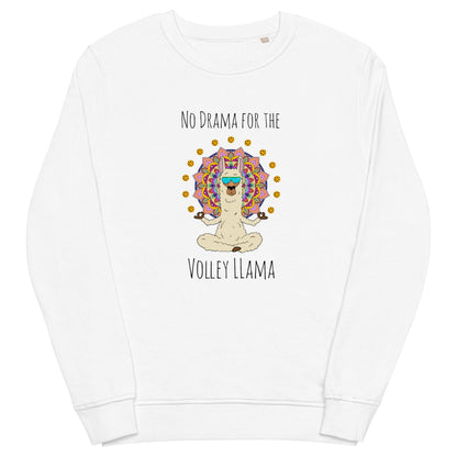 Volley LLama sweatshirt